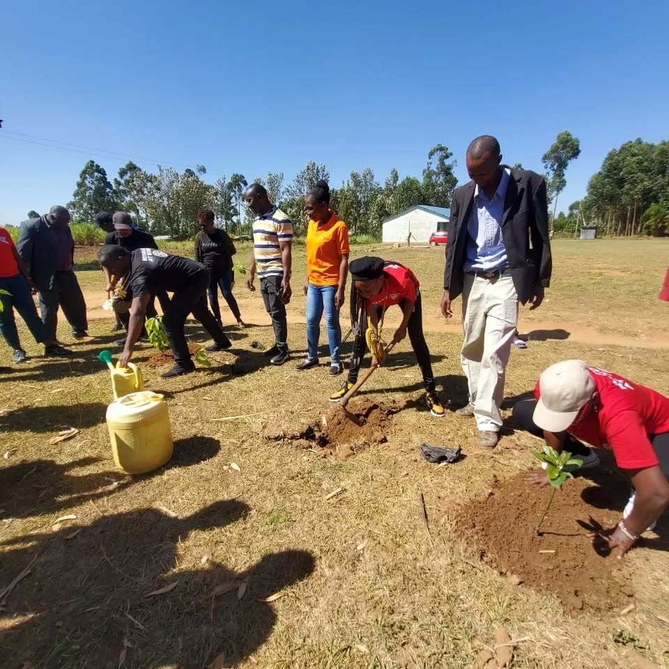 Environmental Conservation Drive